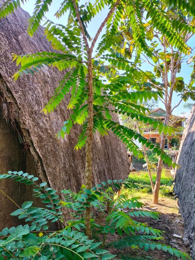 Rice Straw Green Lodge- Resort Quan Tom エクステリア 写真