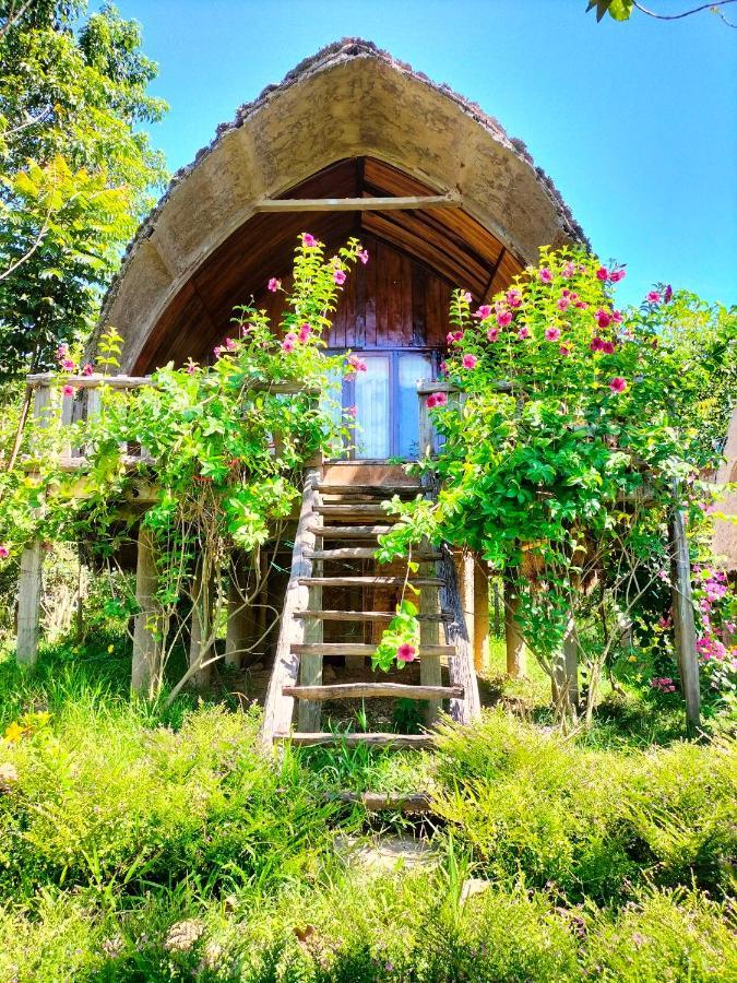 Rice Straw Green Lodge- Resort Quan Tom エクステリア 写真